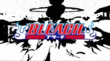 Bleach (Eng Dub) Episode 282
