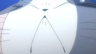 Meow~ I am really sad this time! How can I live without you?