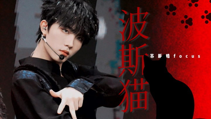 【波斯猫 | 苏新皓】审判！内娱竟然出现了一只这么没有猫德的养成系小野猫？唱跳舞台4k直拍