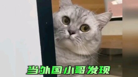 当外国小哥发现朋友在做奇怪的事后....