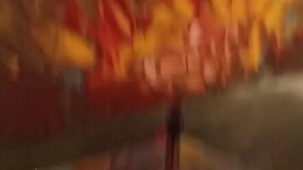 战神段位才能进的印度餐厅