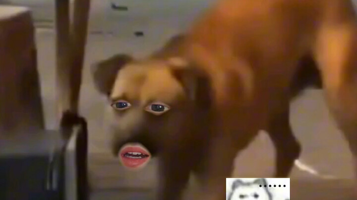 Just because you know me doesn’t mean you get to skip my dinner, right?