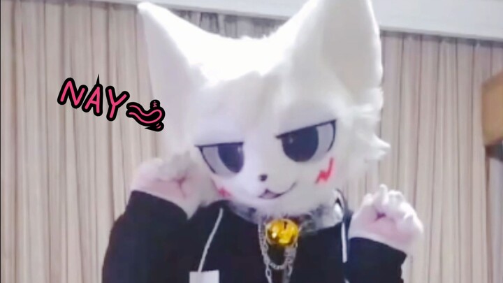 Kucing polos yang sedikit lebih seksi—setidaknya bikin aku terlihat nggak sebodoh itu... kan?