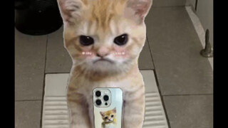 دمية مديونة لا تُرد ديونها