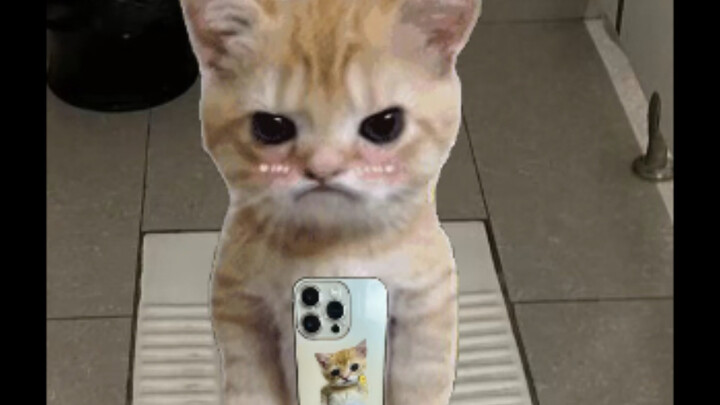 Búp bê nợ không trả thì vứt đi