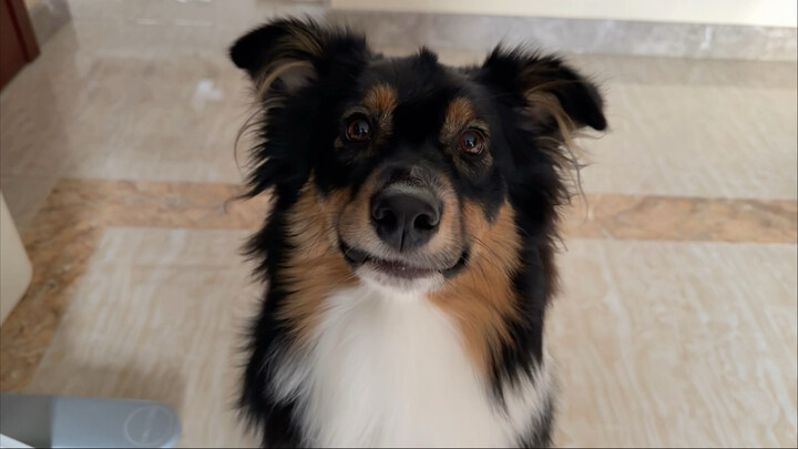 ใครกันนะที่เป็นตัวงอแงแบบนี้?