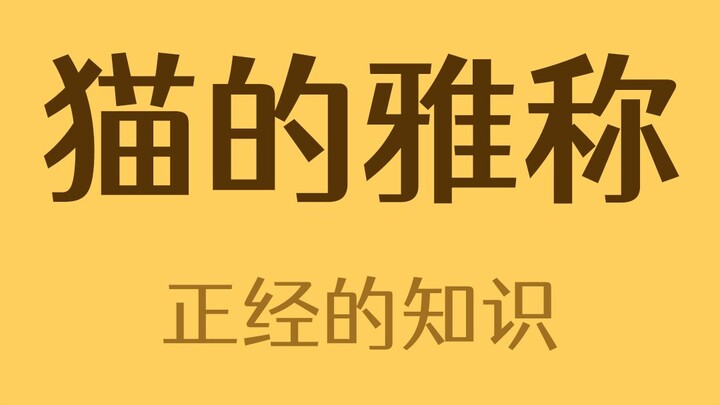 The elegant old Chinese names for cats are so beautiful!