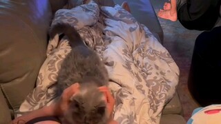 sexy gril tiktok
