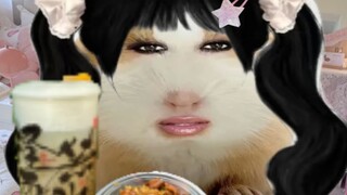 Zhu Niu Xiao Xin's Eating Show Journey, Episode 9