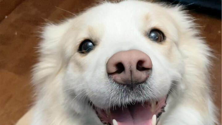 Where are your ears?