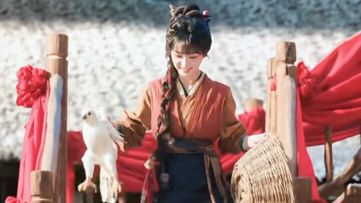 Haitongqing: My brain is fried! Think of a way to save me!