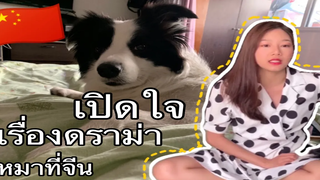 Ep10 ติดเกาะอยู่จีน มีแค่หมาหนึ่งตัวเป็นเพื่อน ｜ jamjoinin