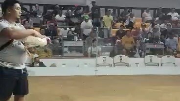 Triple c white kelso