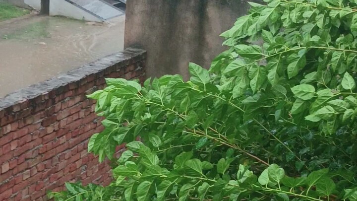 India heavy rain