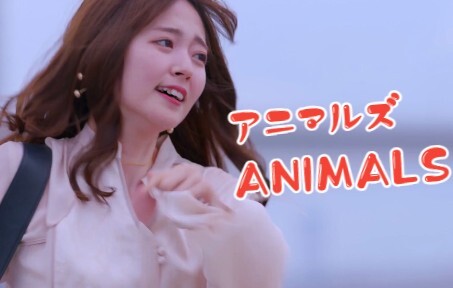 【2022年夏日剧/ANIMALS】2022夏季日剧黑马？ 年下大胜利！