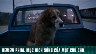REVIEW PHIM: “ MỤC ĐÍCH SỐNG CỦA MỘT CHÚ CHÓ “ ( Phần 8 ) #reviewphimhaynhat