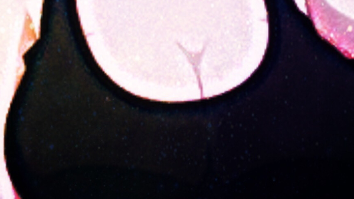 FUJITORA X JEDAG JEDUG🐯