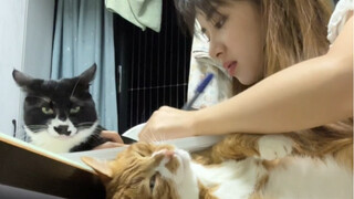 Pasti ada yang mencurigakan kalau kamu tidak belajar dengan baik