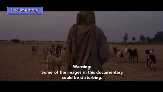 Pakistani's forgotten civilization (Documentary) #ctto