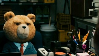 Being a Teddy Bear Interviewing for a Job