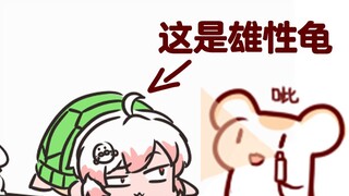 【Bison仓鼠】关于您女儿变成龟龟这事您有什么想说的吗