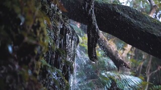 Look at the beauty of nature!