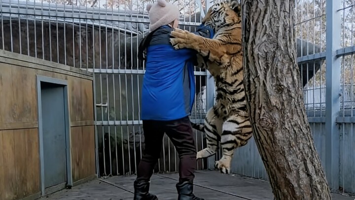 Wolf: It’s all over the park—you’re lifting a tiger with one hand!!