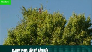 review phim Đần và đần hơn tập 9 #reviewphim #phimhay #reviewphimhay