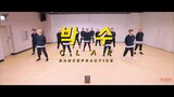 [Choreography Video] SEVENTEEN(세븐틴)  - 박수(CLAP)