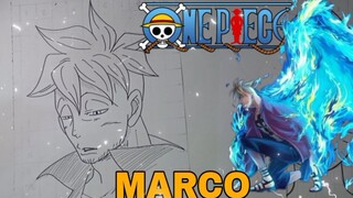 menggambar anime one Piece karakter marco