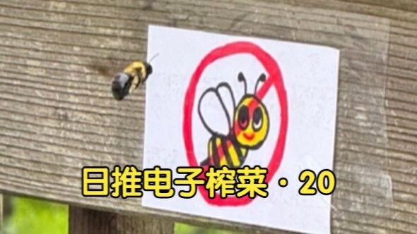 【محتوى مترجم】تشكيلة مختارة من «الملح الإلكتروني» الموصى به في اليابان · 20