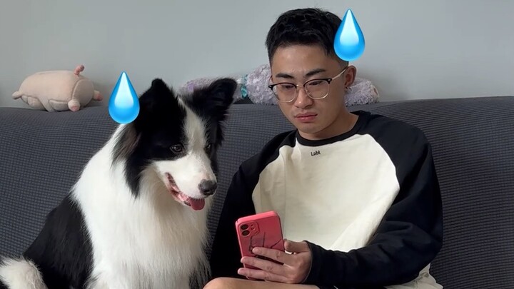 How to Shoot a Stylish Fashion Shoot for Your Dog with Smooth Camera Moves? I’m posting this a bit l