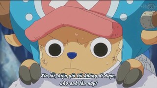Những lần Chopper ngồi lên đầu Law