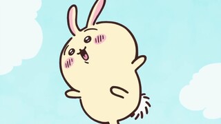 A day at work for Usagi Baby