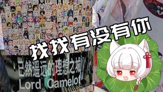 CP29：什么叫管人痴战士啊！一面由300VUP组成的旗子