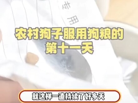 หมา: นี่แกเปลี่ยนสูตรแล้วเหรอ?