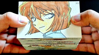 วาดด้วยมือ 152 ภาพ! ชมอากาอิชูอิบนกระดาษ