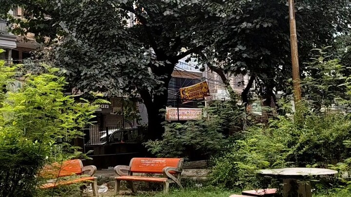 POV: You Found a Quiet Corner of the City 🌳✨