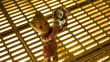 [Film&TV][Marvel]Little Groot thinks differently