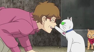 Can you believe that a cute little kitten can actually slap a grown man away?