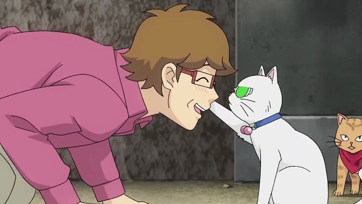 Can you believe that a cute little kitten can actually slap a grown man away?