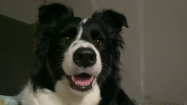 I was about to hit the hay after finishing the last problem, but during my review I suddenly realize