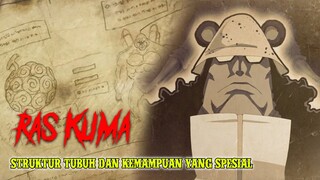 OP 1065 -  KUMA MEMANG TERMASUK RAS YG SPESIAL!! JADI SEBENARNYA RAS DARI KUMA INI ADALAH ... -Teori