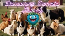 Discovering Domestic Animals