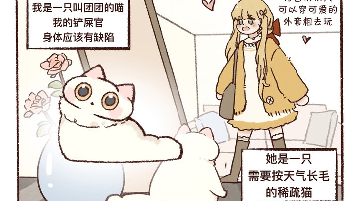 Apakah si kucing tahu kamu telanjang bulat?