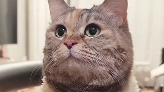 Kenapa baru pulang sekarang? Mi udah nunggu kamu lama banget.