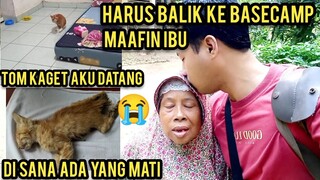 Rela Tinggalkan Orang Tua Ke KotaDemi Mengurus Kucing Jalanan.! Kembali Ke Basecamp Cats Lovers Tv