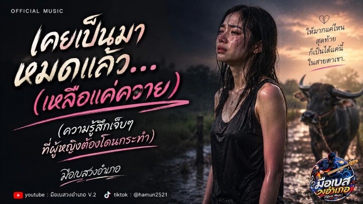 เคยเป็นมาหมดแล้ว...(เหลือแค่ควาย)มือเบสวงอำเภอ