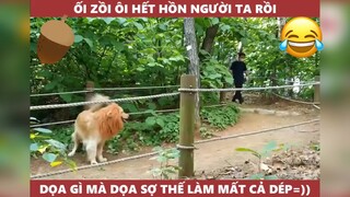 Ối rồi hết hồn à