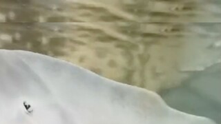 مرحبًا، سمعت أنك في مزاج سيء اليوم.